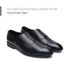 Hayes London | Troy Oxford Shoes – Black Perforated Genuine Leather Men’s Shoes