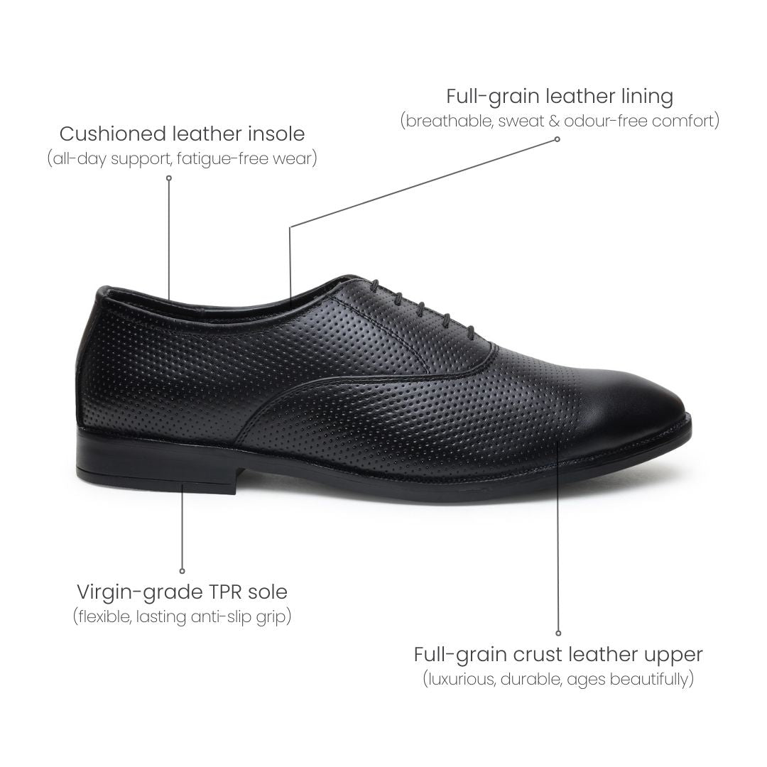 Hayes London | Troy Oxford Shoes – Black Perforated Genuine Leather Men’s Shoes