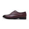 Hayes London | Troy Oxford Shoes – Brown Perforated Genuine Leather Men’s Shoes