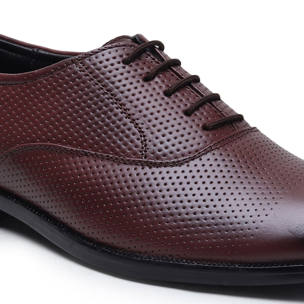 Hayes London | Troy Oxford Shoes – Brown Perforated Genuine Leather Men’s Office Shoes