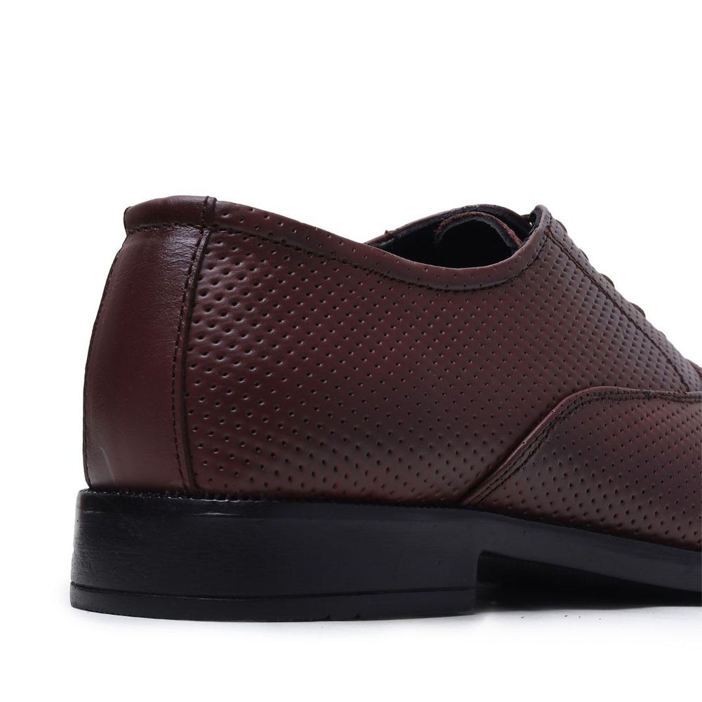Hayes London | Troy Oxford Shoes – Brown Perforated Genuine Leather Men’s Office Shoes