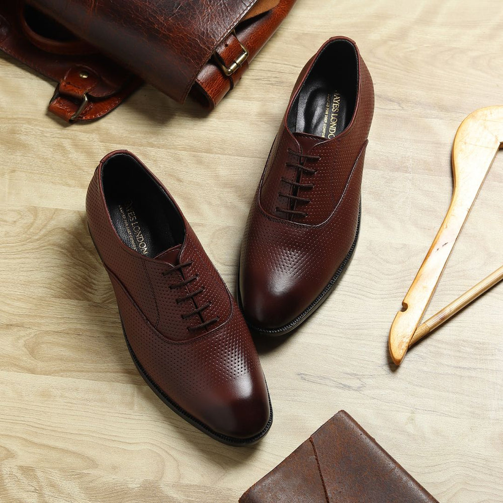 Hayes London | Troy Oxford Shoes – Brown Perforated Genuine Leather Men’s Office Shoes