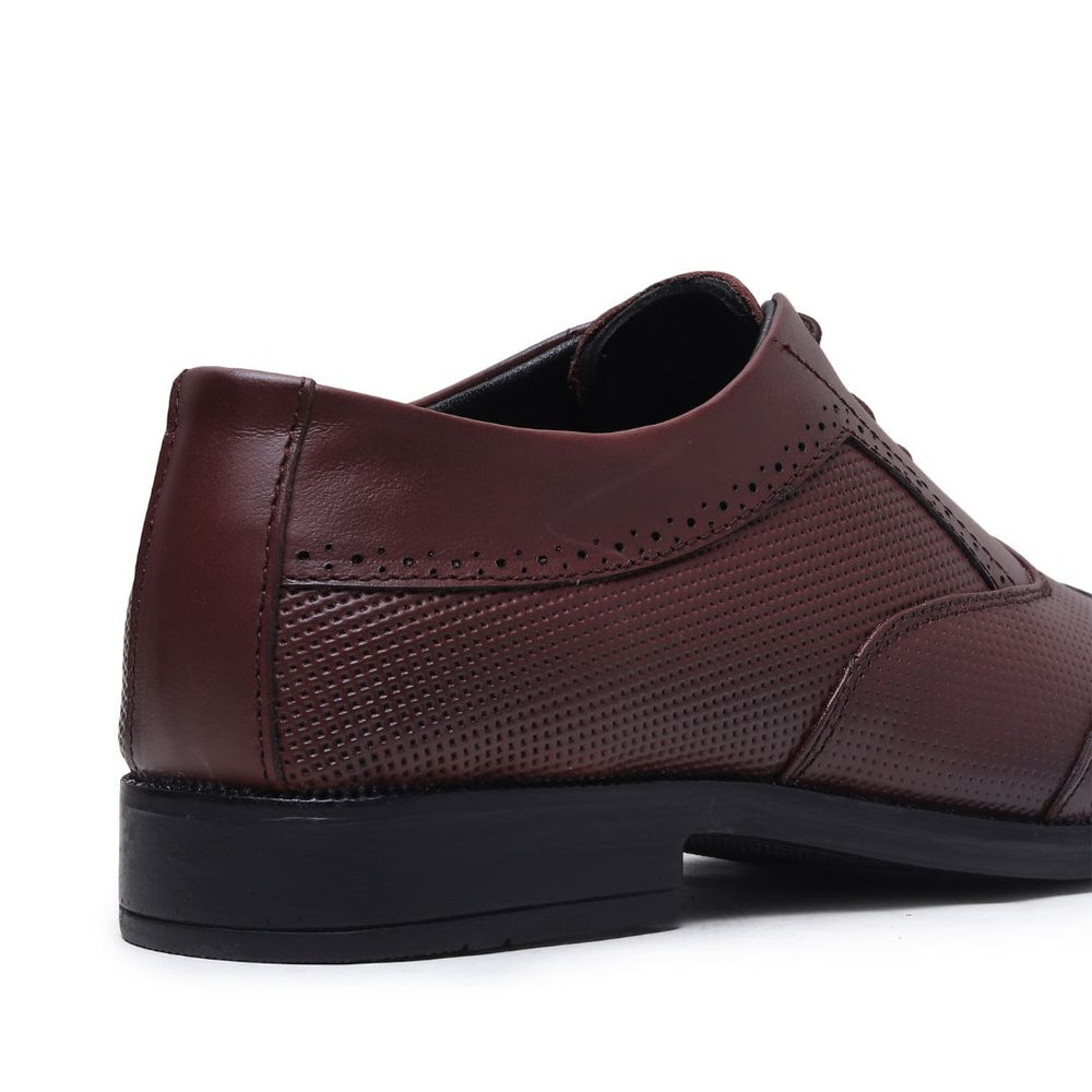 Hayes London | Monarch Wingtip Brogues – Brown Perforated Genuine Leather Men’s Shoes