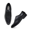 Hayes London | Troy Oxford Shoes – Black Perforated Genuine Leather Men’s Shoes