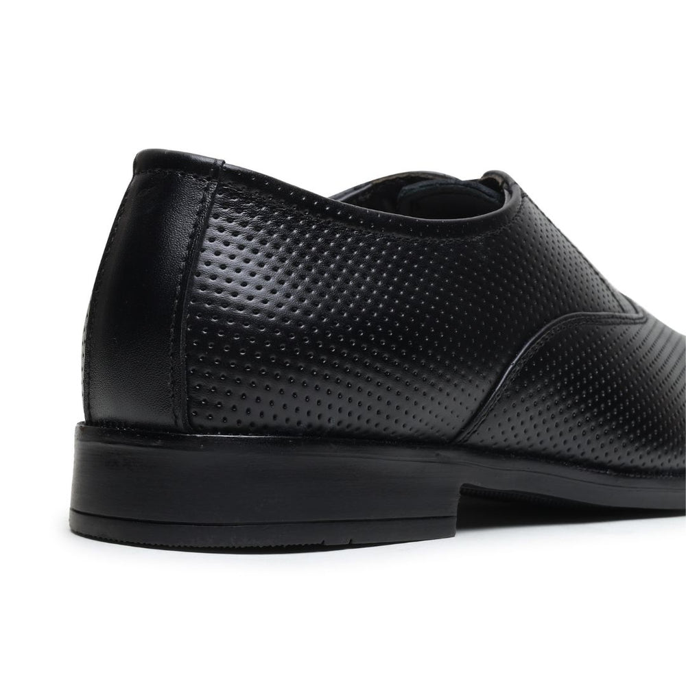 Hayes London | Troy Oxford Shoes – Black Perforated Genuine Leather Men’s Office Shoes