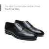 Hayes London | Monarch Wingtip Brogues – Black Perforated Genuine Leather Men’s Shoes
