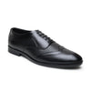 Hayes London | Monarch Wingtip Brogues – Black Perforated Genuine Leather Men’s Shoes