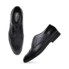 Hayes London | Monarch Wingtip Brogues – Black Perforated Genuine Leather Men’s Shoes