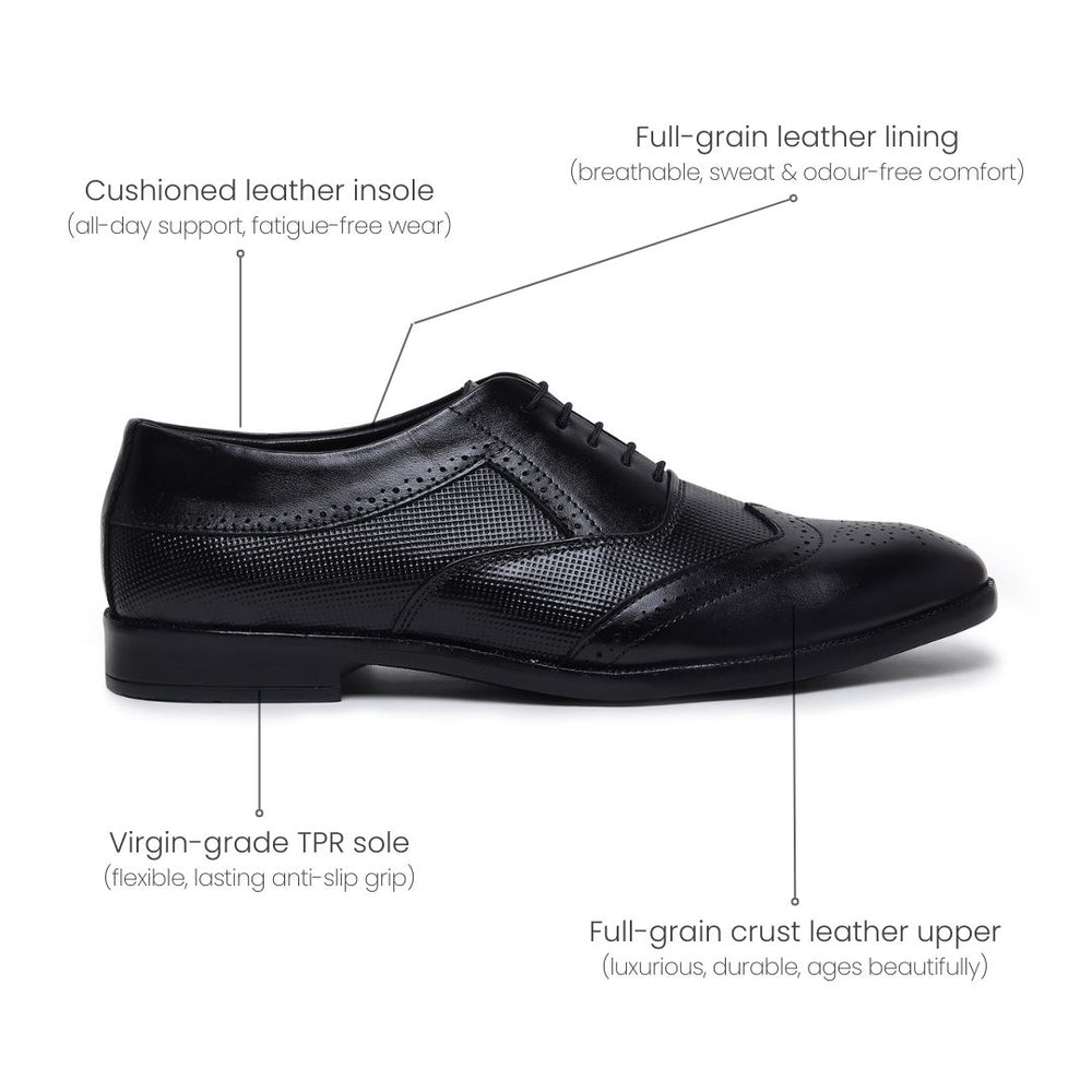 Hayes London | Monarch Wingtip Brogues – Black Perforated Genuine Leather Men’s Shoes