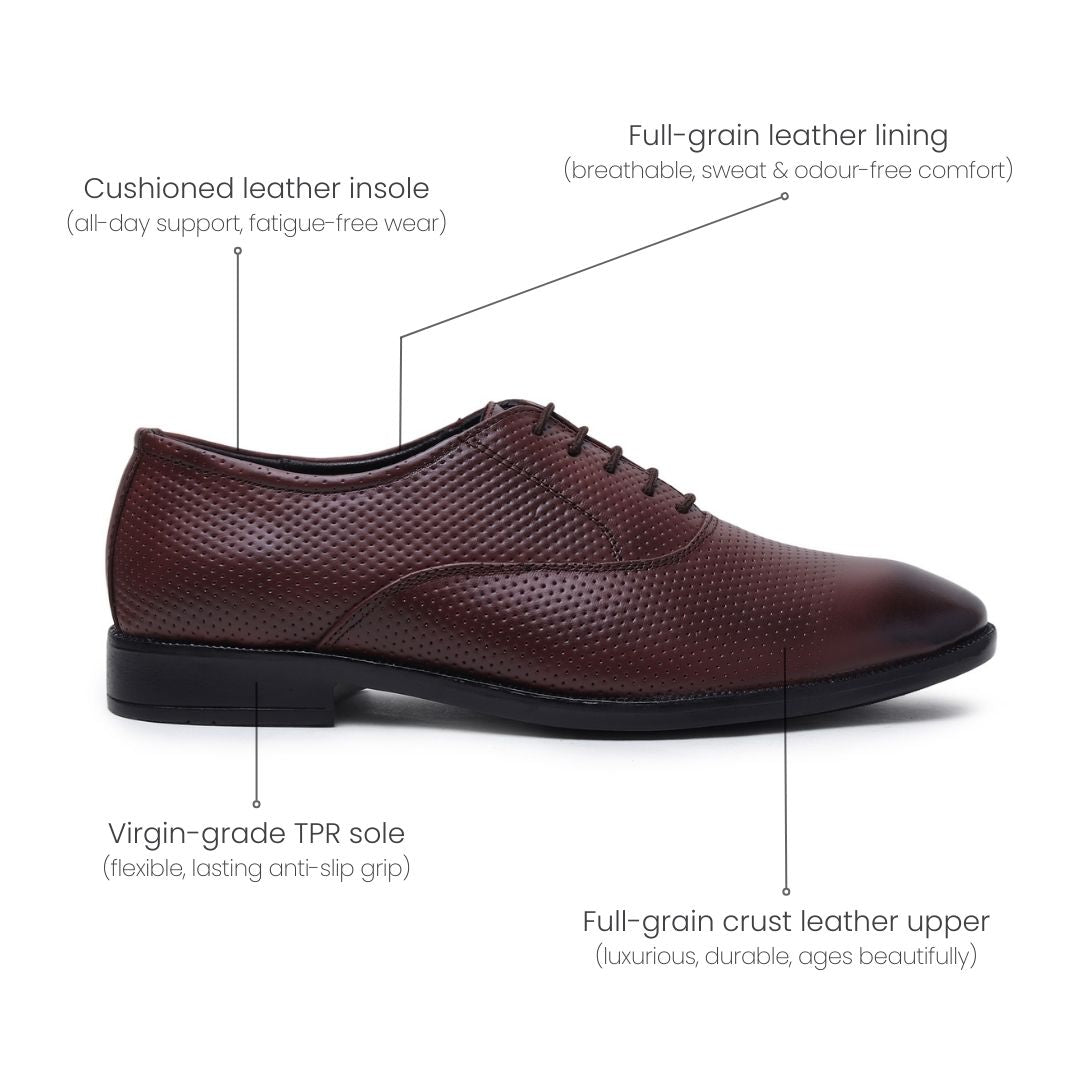 Hayes London | Troy Oxford Shoes – Brown Perforated Genuine Leather Men’s Office Shoes